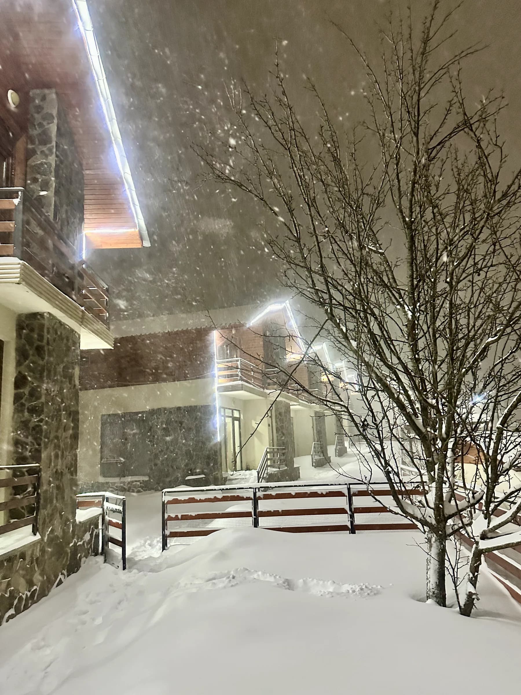 Bakuriani winter scene