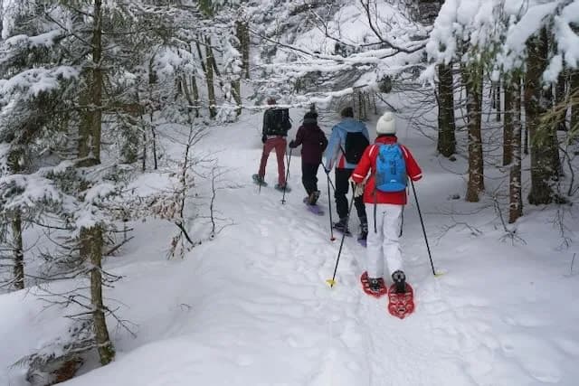 Snowshoeing